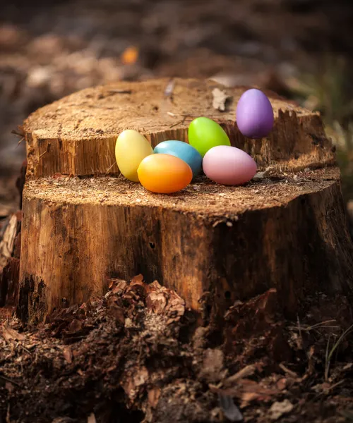 Uova di Pasqua variopinte che giacciono su ceppo di legno — Foto Stock