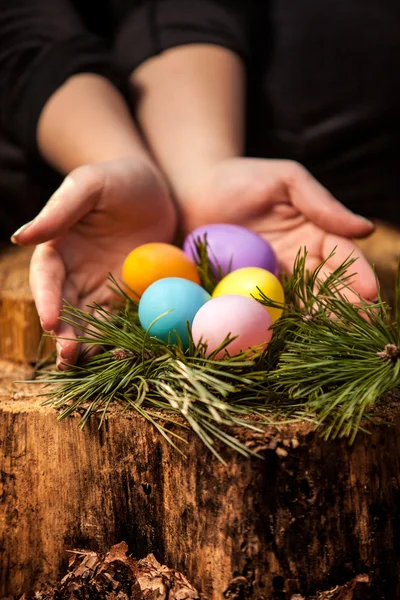 Woman protecting easter eggs in nest at forest — Stock Photo, Image