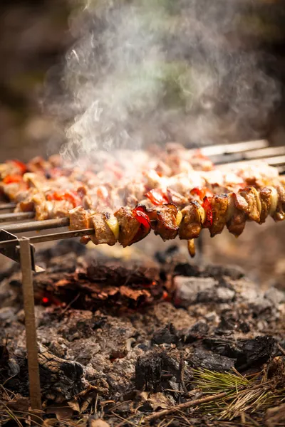 Foto de carne kebab cozida em fogo — Fotografia de Stock