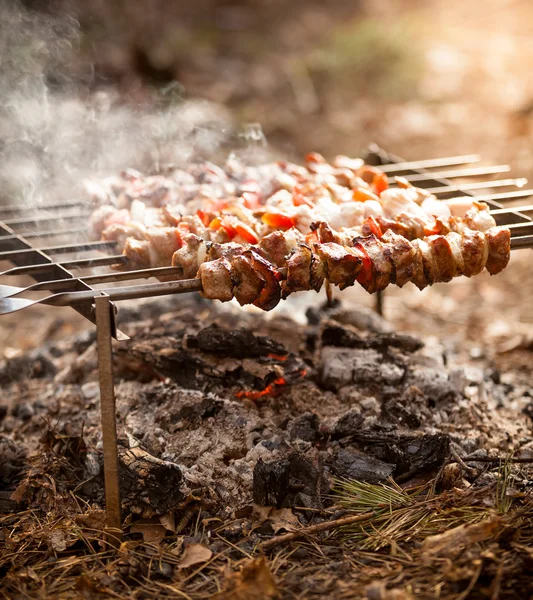 Foto de kebab em chamas na floresta — Fotografia de Stock