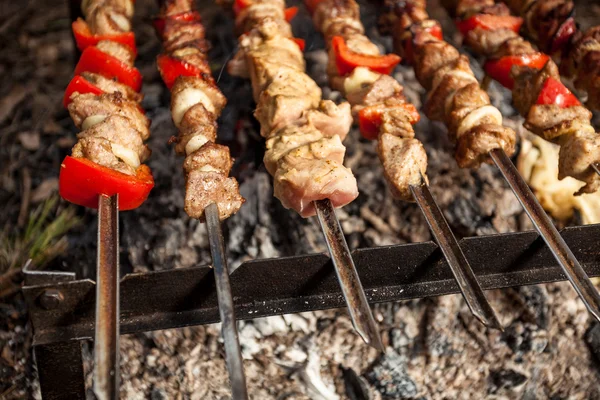 Photo of meat on fire at forest — Stock Photo, Image