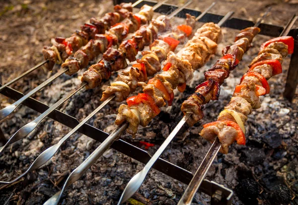 Carne assada em fogo — Fotografia de Stock