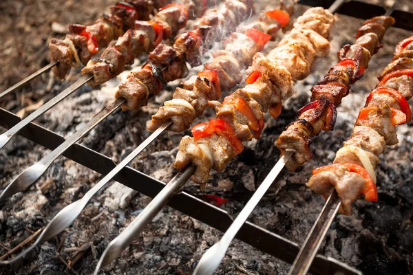 Photo of kebab on metal skewers grilling on fire — Stock Photo, Image