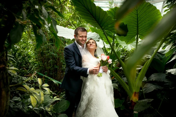 Bruidegom bedrijf bruid onder palmen op jungle — Stockfoto