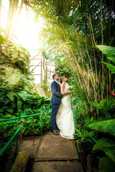 Bride and groom hugging under bamboo at jungle — Stock Photo, Image