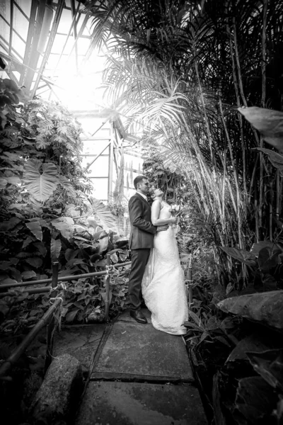 Just married couple walking under bamboos at jungle — Stock Photo, Image