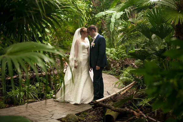 Just married couple walking on path at jungles — Stock Photo, Image