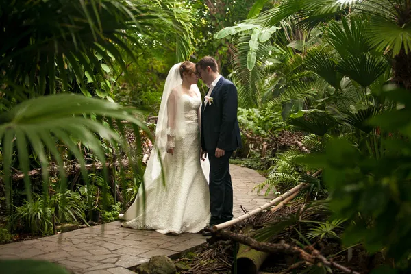 Enkel echtpaar lopen op pad in de jungle — Stockfoto