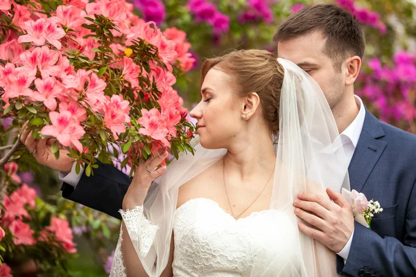 Brudgummen kramas brud att lukta blommor på park — Stockfoto