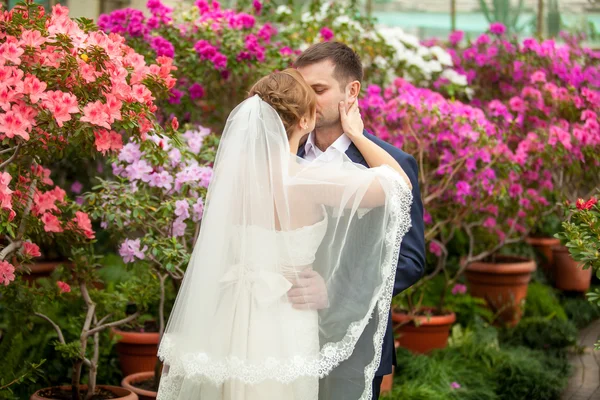 Newly married couple embracing among blooming trees — Stock Photo, Image