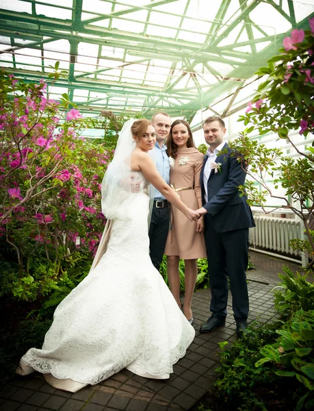 Pareja casada posando con amigos en el invernadero —  Fotos de Stock