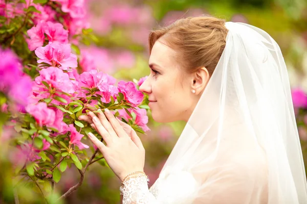 Porträt der schönen Braut, die rosa Blumen riecht — Stockfoto