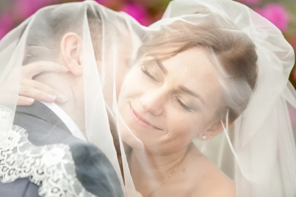 Retrato do noivo beijando noiva no pescoço sob o véu — Fotografia de Stock