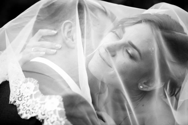 Portret van bruidegom kussen bruid onder witte sluier — Stockfoto