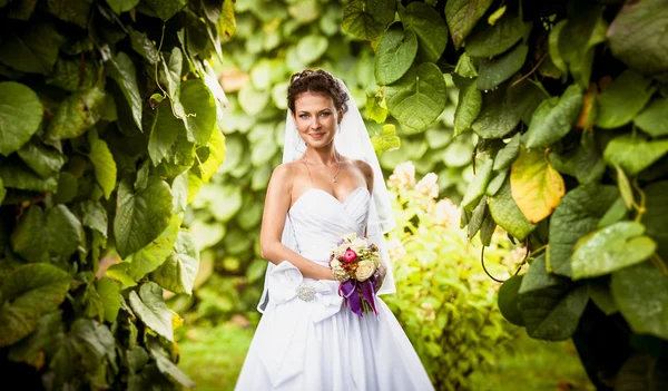 Portrait of smiling cute bride at park — Stock Photo, Image