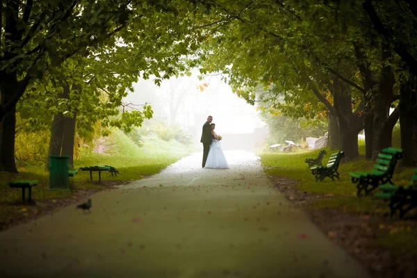 Foto van bruid en bruidegom permanent in tunnel gevormd door bomen — Stockfoto