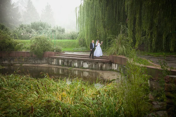 Coppia sposata che cammina sulla riva del fiume nel giorno nebbioso — Foto Stock