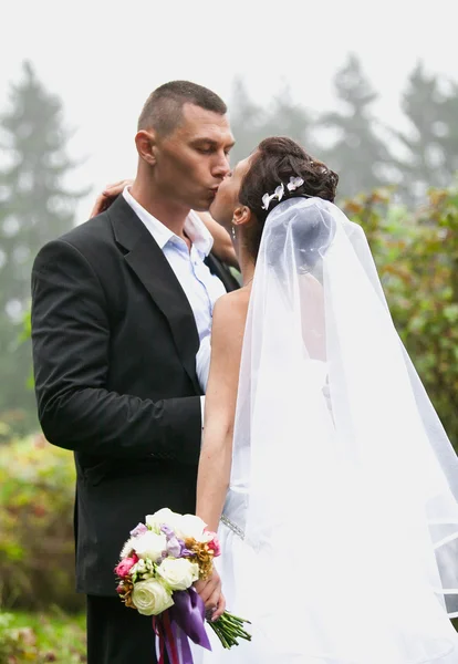 Noivo e noiva com véu longo beijando no parque — Fotografia de Stock