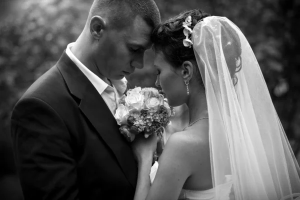 Closeup portrait head to head looking on bouquet — Stock Photo, Image