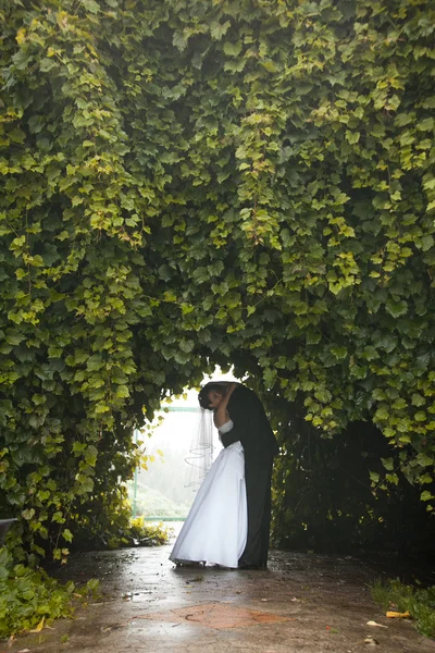 Pareja de recién casados bailando en el túnel en los árboles —  Fotos de Stock