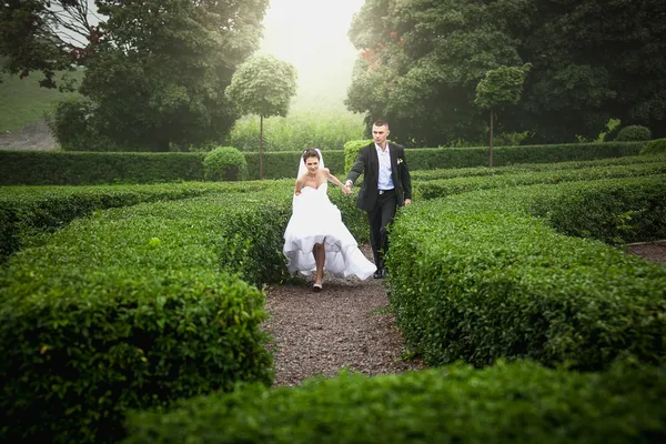 Married bride and groom running at garden maze — Stock Photo, Image