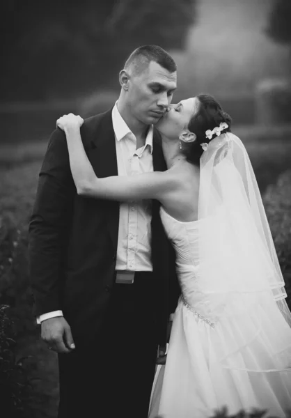 Portrait of bride kissing groom in cheek — Stock Photo, Image