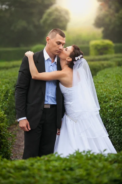 Braut küsst Bräutigam im Garten — Stockfoto