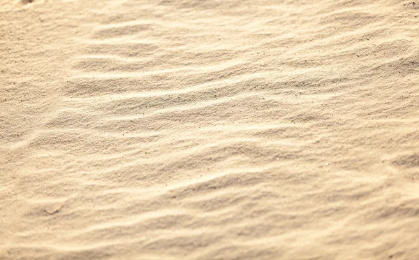 Photo of sand texture in desert — Stock Photo, Image