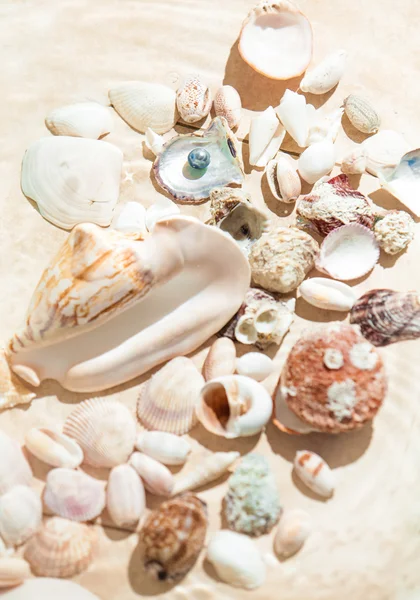 Foto de conchas e pérolas deitadas na areia — Fotografia de Stock