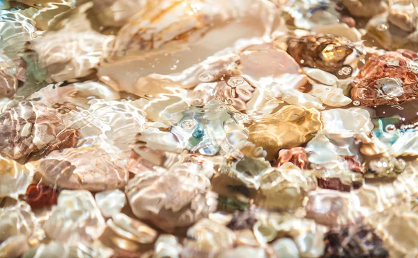 Seashells and pearl lying on sea shore underwater — Stock Photo, Image