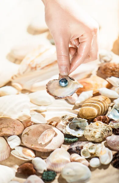 Hand picking up shell with black pearl from sea — Stock Photo, Image