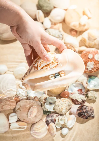 Woman holding seashell with three pearls — Stock Photo, Image