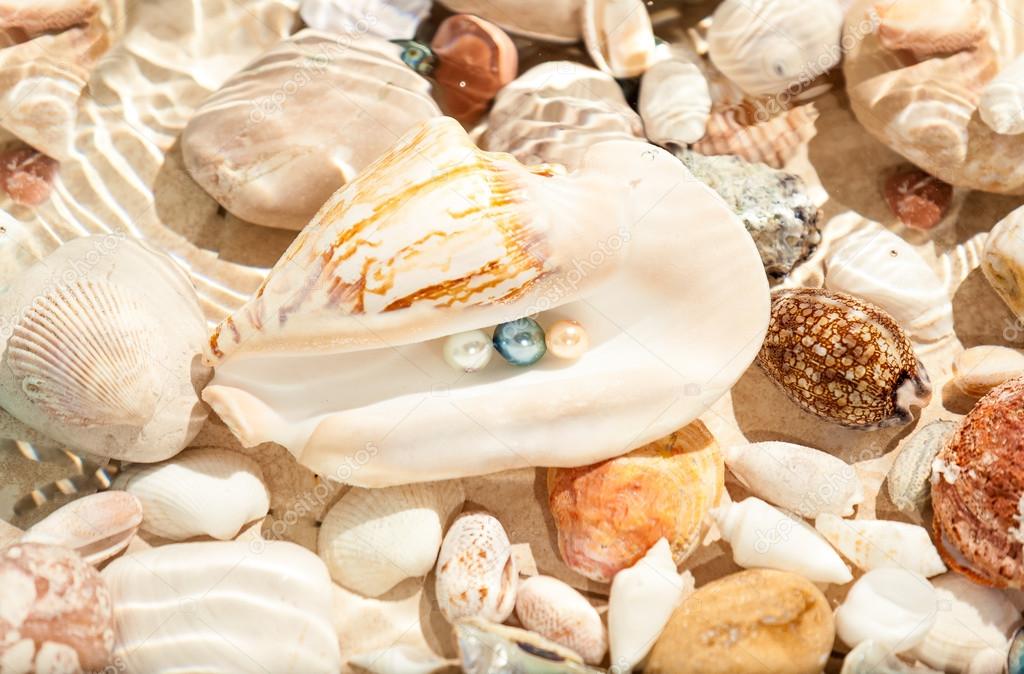 Three pearls in big seashell underwater — Stock Photo © Kryzhov 44781363