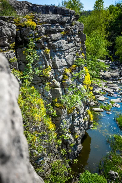 Falaise sur la rivière cultivée avec des fleurs et de l'herbe — Photo