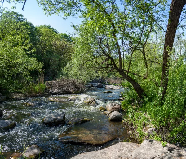 Gebirgsbach im Wald bei der Ukraine — Stockfoto