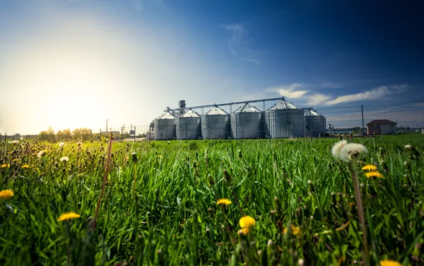 Photo of grain elevators in meadow at sunset Stock Photo
