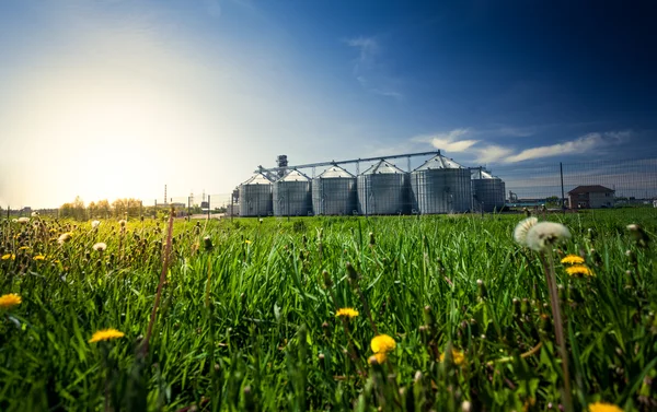 Photo of grain elevators in meadow at sunset Stock Photo