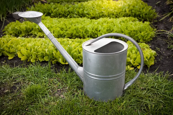 Galvanized watering can on garden bed at sunny day — Stock Photo, Image