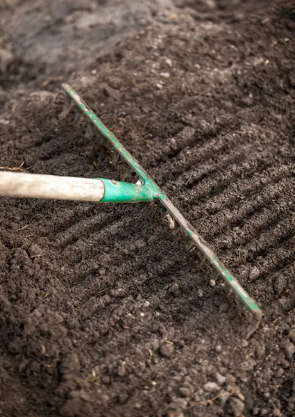 Photo of metal garden rake — Stock Photo, Image