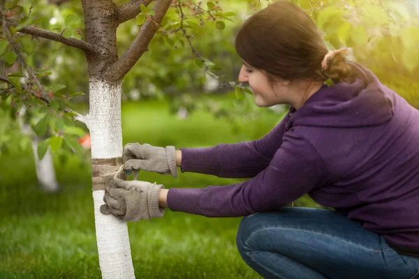 Junge Frau bindet Band an Baumrinde, um Insekten vorzubeugen — Stockfoto