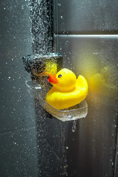 Photo of yellow rubber duck under douche — Stok fotoğraf