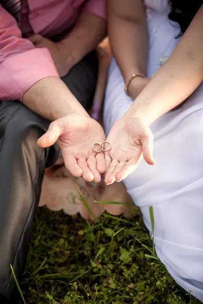 Foto tonificada de la novia y el novio con anillos de boda en las manos — Foto de Stock