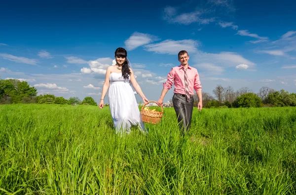 Pareja casada caminando en el campo con cesta de picnic —  Fotos de Stock