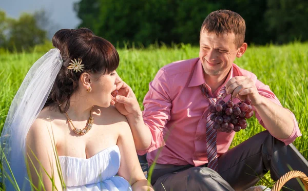 Portrait of groom feeding bride with grapes at picnic — Stock Photo, Image