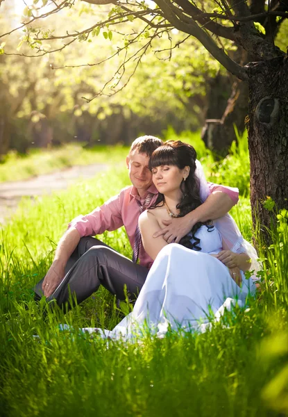 Just married couple siting under tree at park — Stock Photo, Image