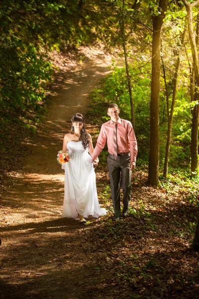 Appena sposati passeggiando al parco nella giornata di sole — Foto Stock