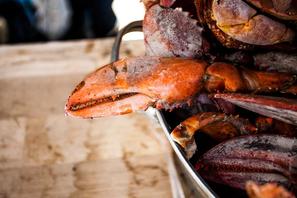 Rozen crab claw on kitchen at metal dish — Stock Photo, Image