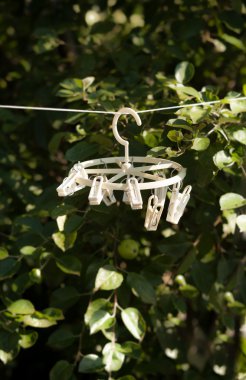 Garden ip asılı beyaz clothespins dönüştürün