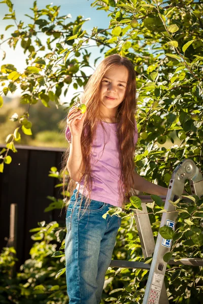 Leende flicka stående på stege på garden — Stockfoto