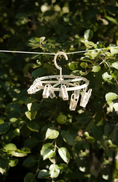 Bílé clothespins visí na laně v garden — Stock fotografie